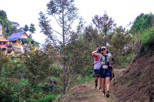 BIB: 
                            <button type="button" onclick="openModal(24848278)" class="btn btn-primary btn-sm float-right btn-popup" data-toggle="modal" data-target=".modal-high-quality">
                        <i class="fas fa-shopping-cart"></i> Add to Cart
                    </button>
                                            <button type="button" onclick="isThisMe(24848278, true)" class="btn btn-success btn-sm float-right btn-popup btn-isme hidden" data-toggle="tooltip" data-placement="bottom" title="นี่คือรูปของคุณใช่ไหม คลิกที่นี่เพื่อเอาเข้าอัลบั้ม">
                        <i class="fas fa-plus"></i> Add to album
                    </button>
                    <button type="button" onclick="isThisMe(24848278, false)" class="btn btn-warning btn-sm float-right btn-popup btn-isnotme hidden">
                        <i class="fas fa-ban"></i> Remove from album
                    </button>